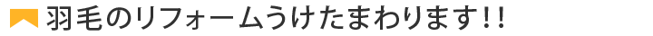 羽毛のリフォーム